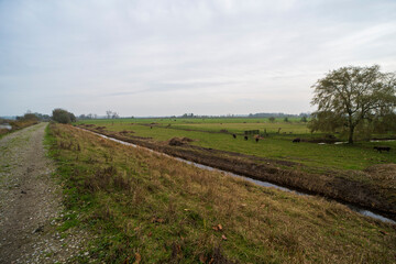 Rural landscape north of Vinkeveen during the fall, the Netherlands