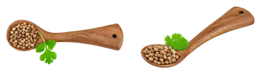 Dried coriander seeds in the wooden spoon with fresh green leaf isolated on white background. Top view. Flat lay
