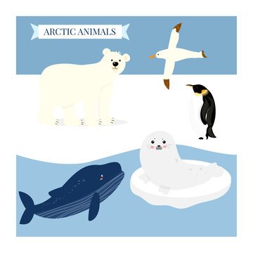 Set of funny wild polar animals, marine mammals. Polar bear, blue whale, seal, albatross, penguin. Collection of fauna of Arctic. Set of cute cartoon characters. Vector illustration in flat style. 