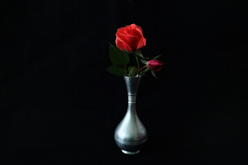 黒背景の錫製花器に活けた赤い薔薇