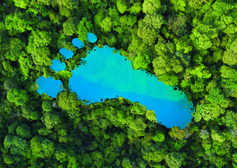 Lac en forme d'empreinte de pied dans une forêt tropicale luxuriante, représentant l'impact de l'activité humaine sur le paysage et la nature, l'empreinte carbone, la déforestation. Vue aérienne. - obrazy, fototapety, plakaty