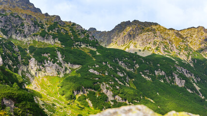 Fototapety na wymiar - Fototapeta24.pl