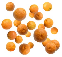 Oranges PNG Fresh wet fruits with drops of water flying, falling, scattered, isolated 	