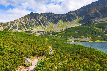 Fototapeta na wymiar Polish Tatra Mountains, a mountain trail leading along the shore of the Przedni Staw Polski pond, a mountain landscape with alpine vegetation.