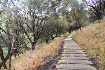 Trekking route pathway that leads visitors through Mount Schank is a dormant volcano crater's rim countryside 10 minutes drive from mount Gambier centre.