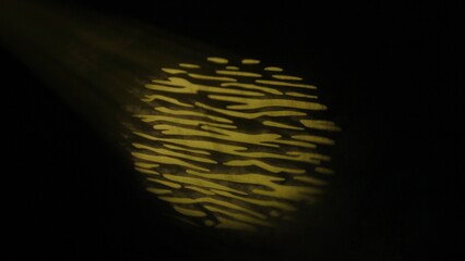 Studio shot of projector haze circle stripped isolated on black background. Yellow light spot with...