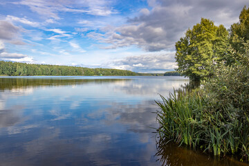 Summer landscape with a pond, reflection of clouds, green grass and bushes in the foreground