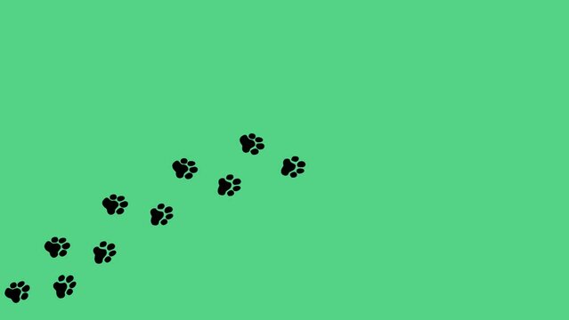 Paw Footstep walking in a curve from different perspectives on green background. silhouettes paw Footsteps sign footprint animation cat, dog, puppy feet, kitten. Animated Animal foot print icon in 4k.