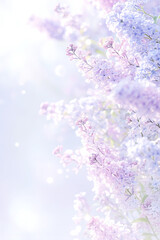 Beautiful Wide Angle soft spring background with lilac flowers. Panoramic pastel floral pink and purple template Web banner. greeting card with Copy Space. Illustration for Albums, notebooks. - obrazy, fototapety, plakaty