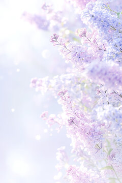 Fototapeta Beautiful Wide Angle soft spring background with lilac flowers. Panoramic pastel floral pink and purple template Web banner. greeting card with Copy Space. Illustration for Albums, notebooks.