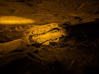 Mammoth Cave National Park Kentucky