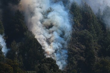 incendios, forestales, Bogotá