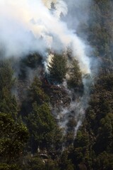incendios, forestales, Bogot&aacute;