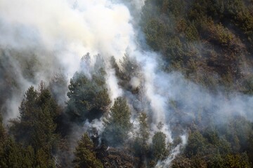 incendios, forestales, Bogotá