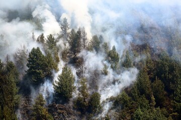 incendios, forestales, Bogotá