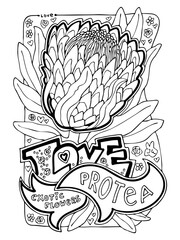 Exotic flowers colouring book pages collection for relaxation and anti stress. Hobby for adults and kids. Tropical holiday, beautiful botany garden theme. Hand drawn line style illustration.