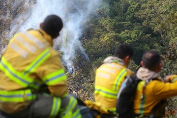 incendios, forestales, Bogotá