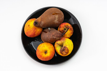 Obstteller