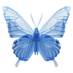 arctic blue butterfly isolated on a transparent background