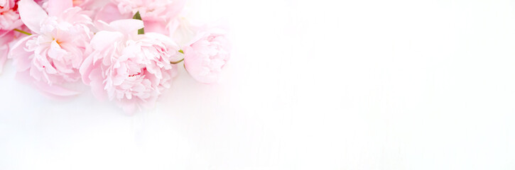 Blossoming peonies in varying shades of pink, thoughtfully arranged on a white table, romance and celebration. Top view.