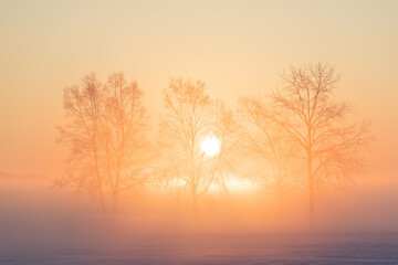 霧氷と朝日