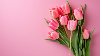 Pink tulip bouquet on a white background in a beautiful spring display, isolated and vibrant, perfect for Easter or Valentine's Day