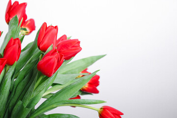 A bouquet with red tulip flowers on white background