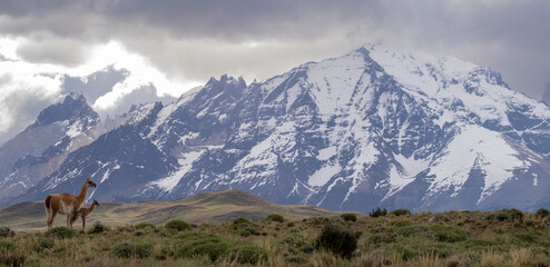 Torres Del Paine, Patagonia, Chile, Andes, Mountains,