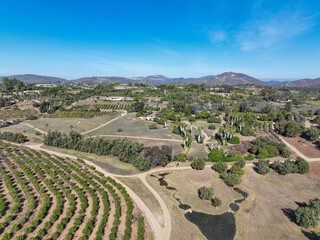 Fototapeta na wymiar Aerial view over Rancho Santa Fe super wealthy town in San Diego, California, USA