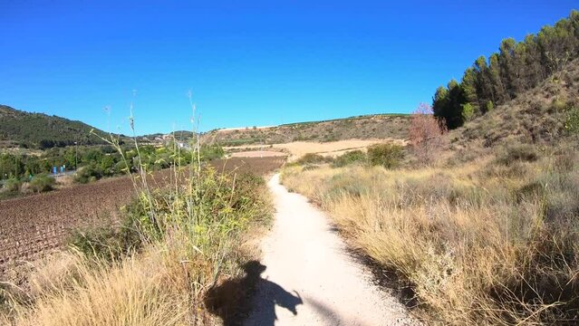 French way - a rural path between Cirauqui and Lorca, Navarre, Spain