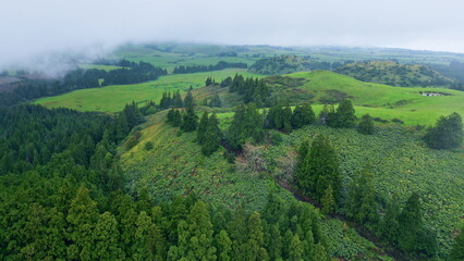 Clouds covering forest slopes landscape aerial view. Green hills alpine meadow