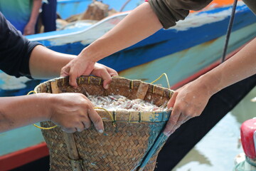 fishermen receive baskets full of little fish