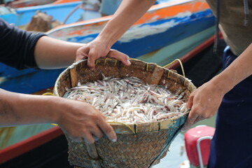 fishermen receive baskets full of little fish