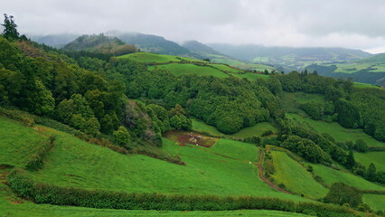 Low clouds covering woodland slopes drone. Mountains valley nature landscape