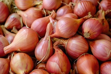 shallot onions background