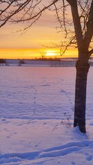 sunraise