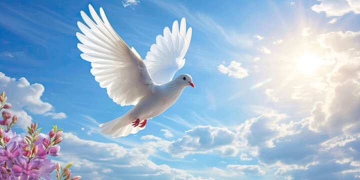 Dove in the Sky Funeral background