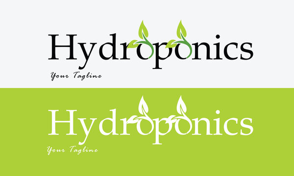 The "Hydroponics" logo elegantly blends modern typography with a green color palette, symbolizing innovative and sustainable farming