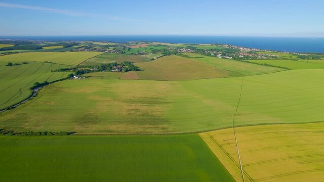 AERIAL: Idyllic seaside village among agricultural fields under a clear blue sky. Picturesque countryside with a beautiful pattern of yellow and green patches of farmland along the English coastline.
