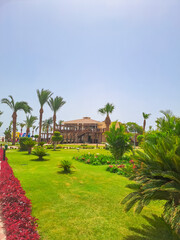 Obraz premium Green grass on the background of an empty restaurant on the sea coast