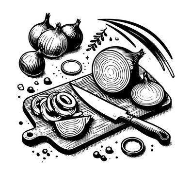 Onion Vector Hand Drawn Black And White