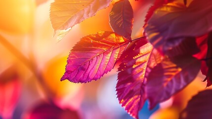 leaves in vivid color style for background : Generative AI