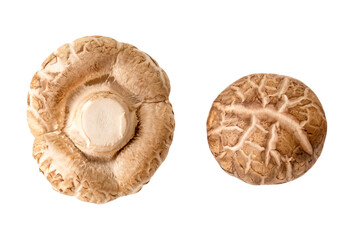 Top view of fresh and dry shiitake mushroom in set isolated  on white background with clipping path