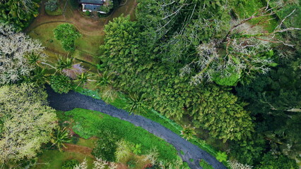 Grey path crossing forest landscape top aerial view. Rural tiled roof houses
