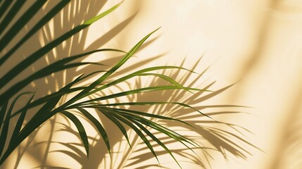 Palm leaves shadow on beige background, freeze motion : Generative AI
