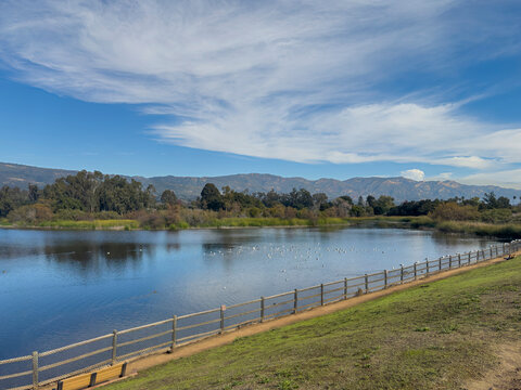 Goleta, CA, USA - December 27, 2023: Lake Los Carneros Park. Dam of reservoir is viewpoint looking NE to Santa Inez mountain range. Birds and ducks on water. Green trees and blue cloudscape