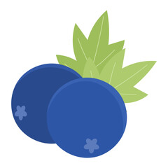 Blueberries fruit vector illustration