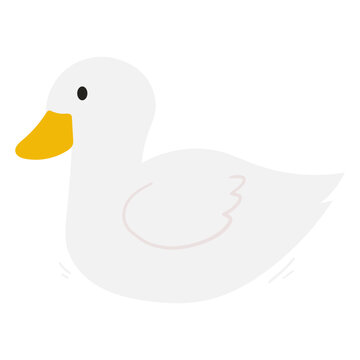 Duck vector animal illustration