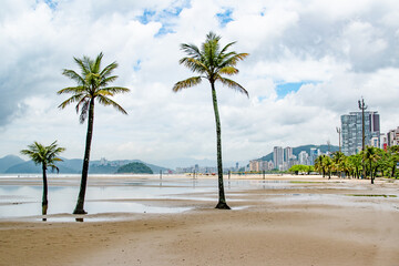 Tropical Empty Sandy Beach With Palm Trees on Cloudy Day in Santos Brazil