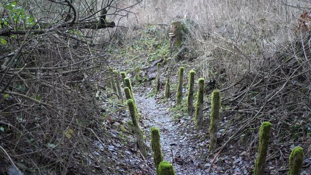  London trench trench warfare Douaumont Verdun 1916 ww1